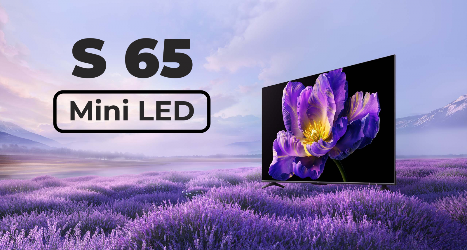 Tivi Xiaomi s65 65 inch - 2 - đánh giá